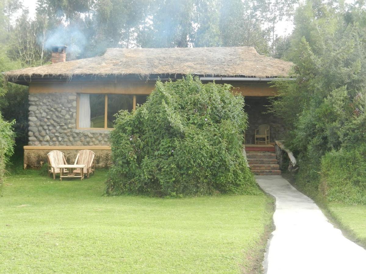 Mountain Gorilla View Lodge Musanze Esterno foto